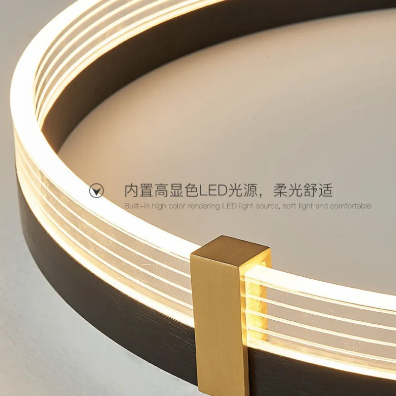 lampe de plafond led minimaliste avec télécommande luxueuse - vue 5 sur 9