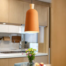 Minimalist nordic wooden LED pendant light with creative design