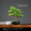 1PCS Simulated welcoming pine bonsai ornaments, pine bonsai desktop plant decorations, biomimetic small green plants