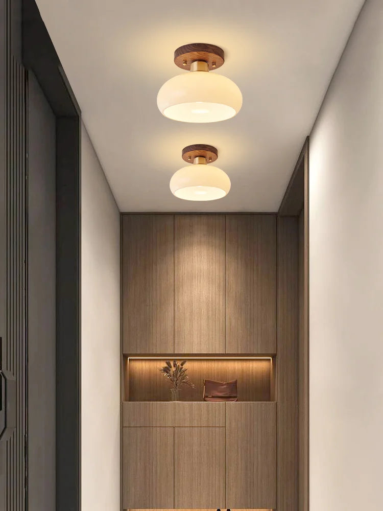 Grass Led Ceiling Lamp for Hallway, Entryway, Kitchen, Foyer Living Room Indoor Lighting white lamps home Decor Lustres fixture - vue 5 sur 7