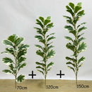 Realistic artificial ficus for indoor and outdoor decoration