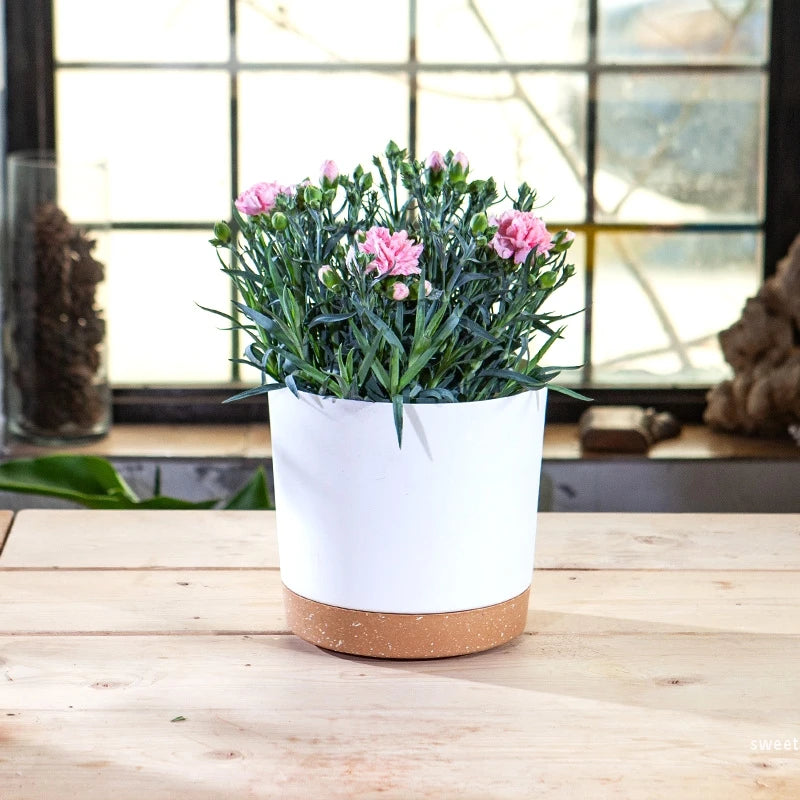 grand pot circulaire en plastique pour plantes d'intérieur avec drainage et plateau - vue 4 sur 15