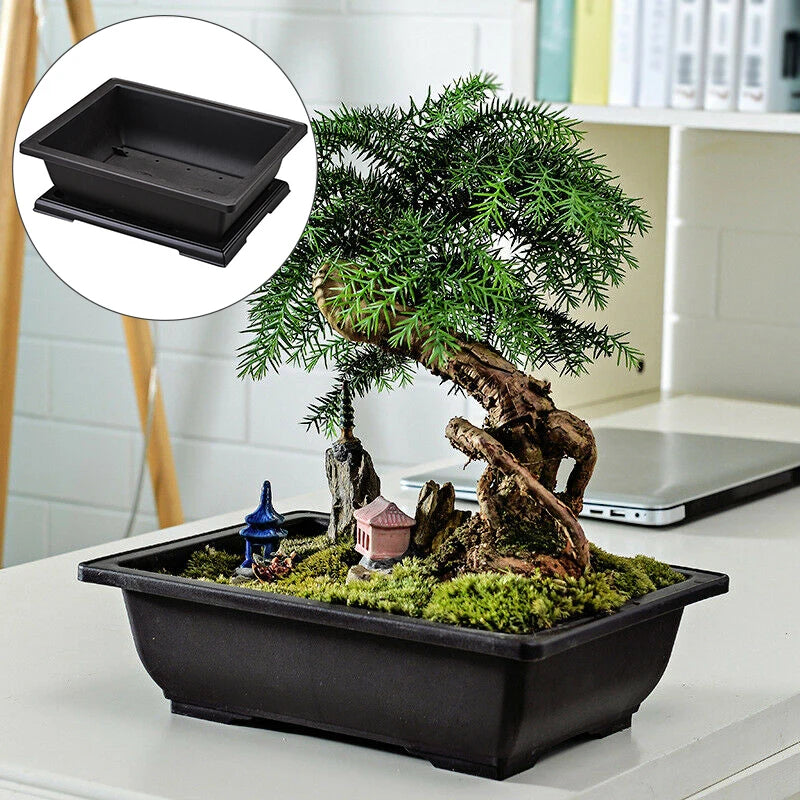 pot de fleurs rectangulaire en plastique pour bonsaï et jardin