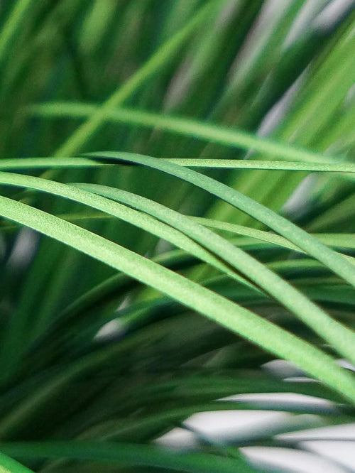 plantes artificielles herbe d'oignon pour mariage jardin décoration intérieure - vue 6 sur 7