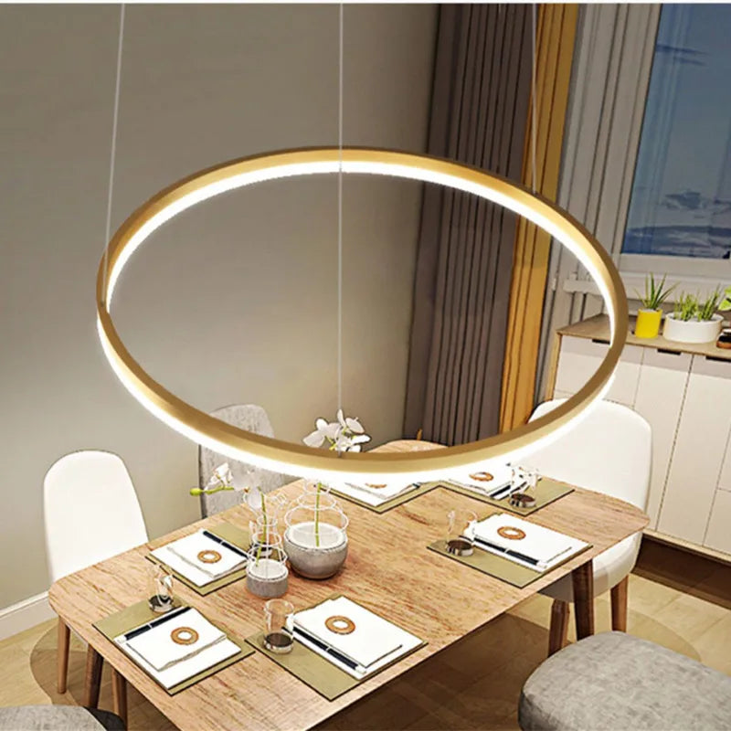Minimalist Nordic round ring LED pendant lamps - vue 4 sur 9
