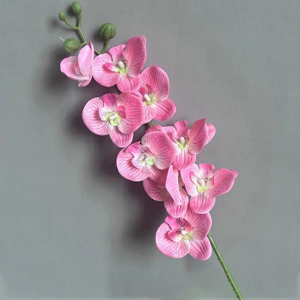 Phalaenopsis artificial plants 3d real touch decorative orchid - vue 8 sur 10