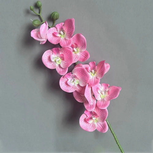 Phalaenopsis artificial plants 3d real touch decorative orchid - vue 9 sur 10