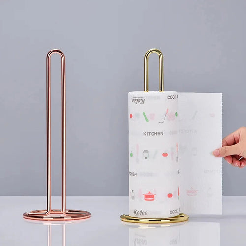 porte-rouleau en acier inoxydable pour essuie-tout et serviettes