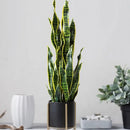 Realistic tropical artificial plants for indoor and outdoor decoration