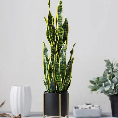 Realistic tropical artificial plants for indoor and outdoor decoration