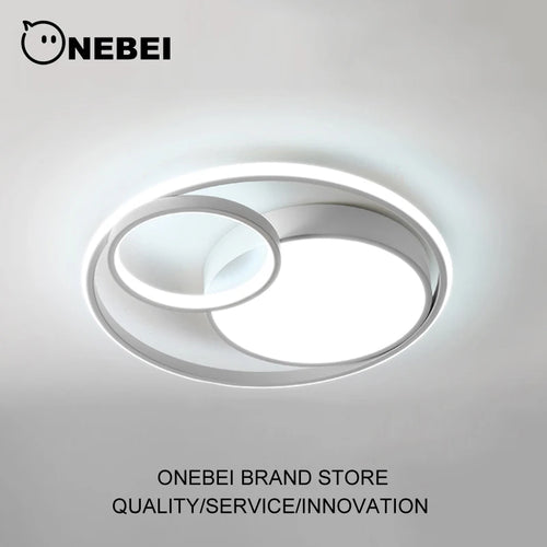 Modern minimalist LED ceiling light decorative indoor lighting