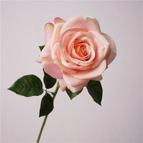 Realistic decorative white artificial roses for weddings - vue 13 sur 12