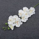 Phalaenopsis artificial plants 3d real touch decorative orchid