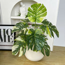 Realistic and elegant artificial monstera plant for interior decoration