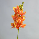 Realistic cymbidium artificial flowers from New Zealand, lifelike orchid decoration
