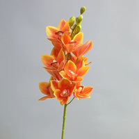 Realistic cymbidium artificial flowers from New Zealand, lifelike orchid decoration