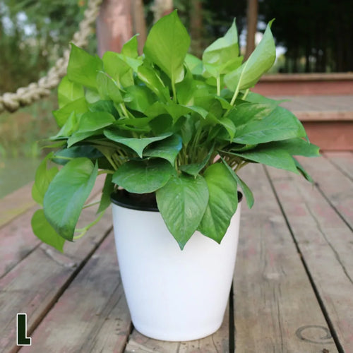 pot de fleurs automatique en plastique effet porcelaine