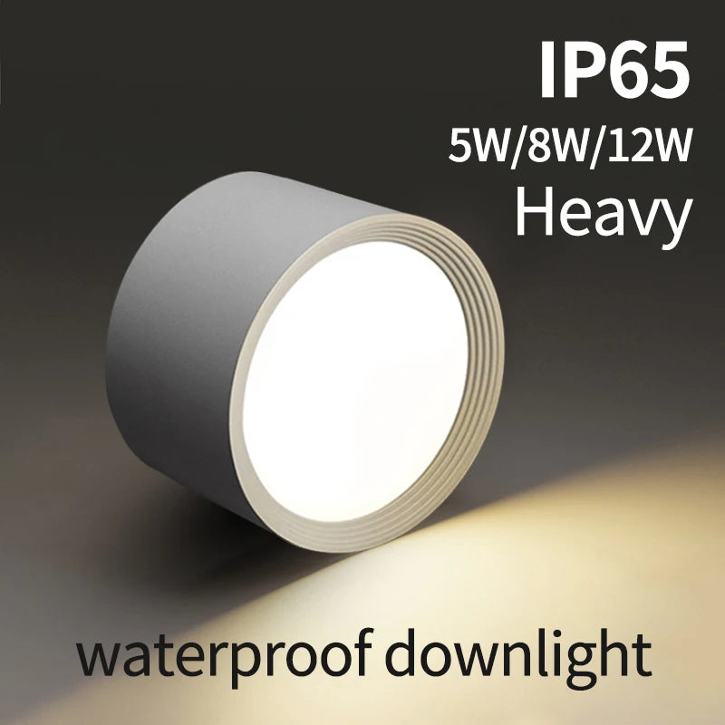 plafonnier étanche led haute luminosité pour extérieur - vue 2 sur 14