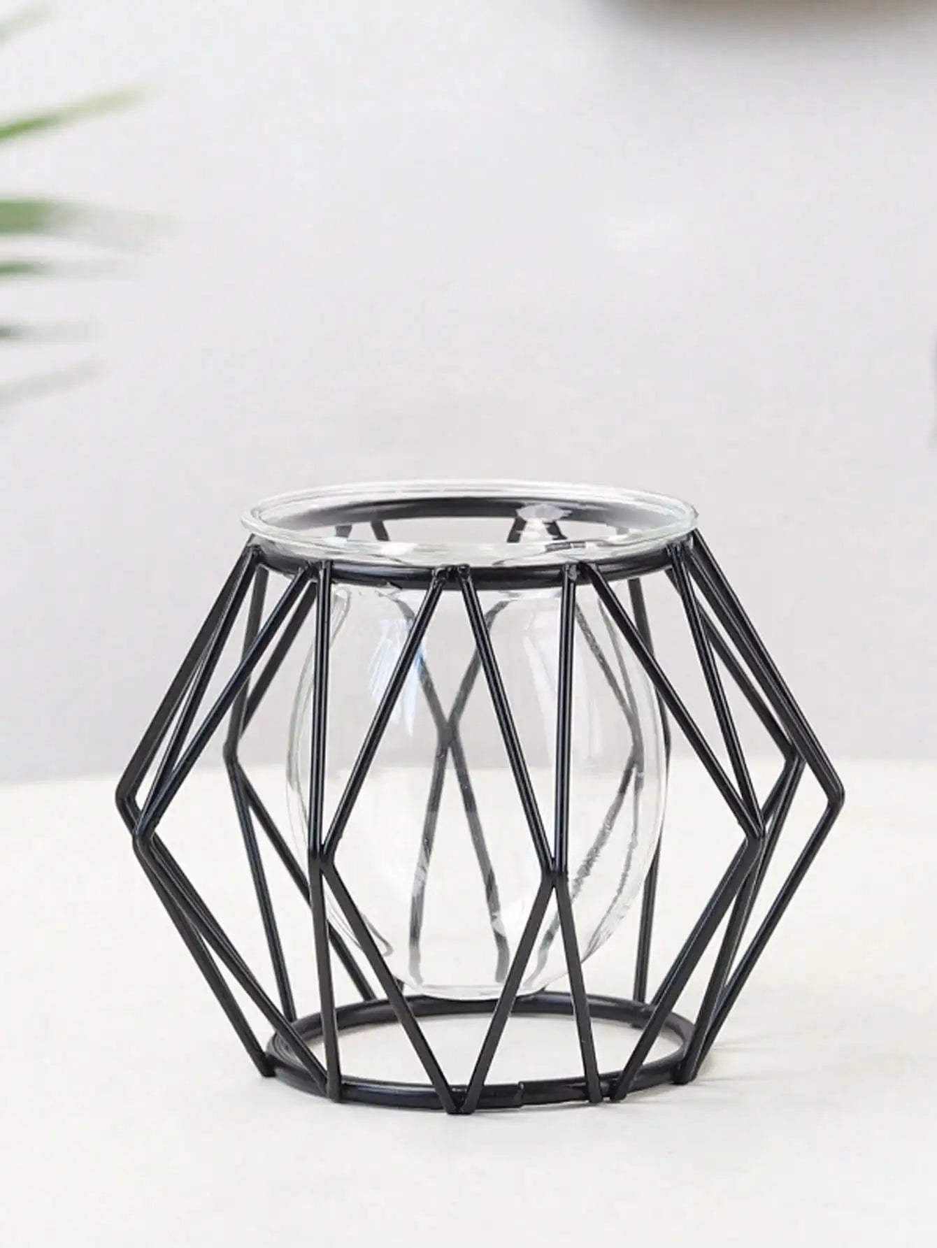 arrangement de fleurs transparent pour décoration intérieure avec plantes d'eau - vue 6 sur 6