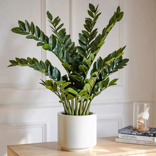 Artificial tropical money tree realistic decorative plastic plant - vue 6 sur 13