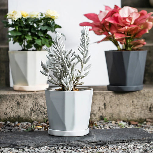 pot de fleurs en plastique style nordique tendance et simple