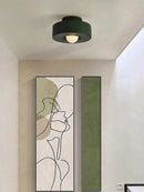 Minimalist ceiling light for elegant decorative lighting
