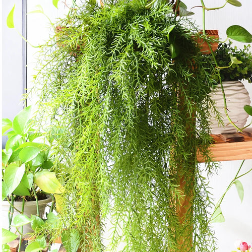 plantes artificielles murales suspendues décoration intérieure et extérieure - vue 4 sur 11