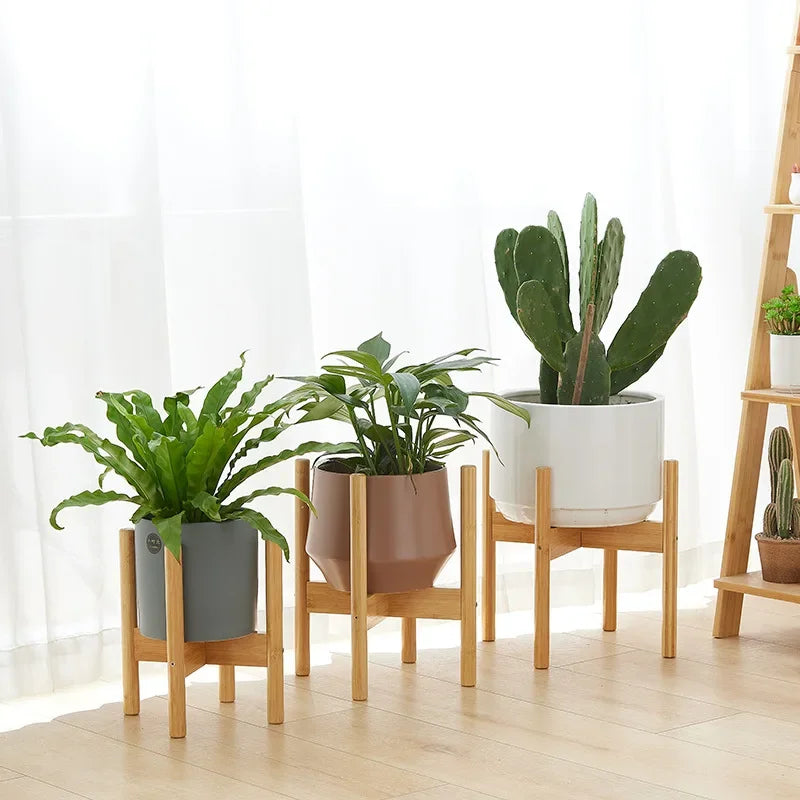 support en bois pour plantes et bonsaïs solide et durable