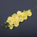 Phalaenopsis artificial plants 3d real touch decorative orchid