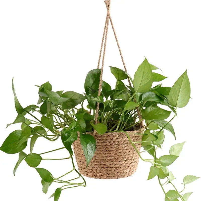 1 Set, Garden Hanging Planter Macrame Plant Storage Basket Jute Rope Woven Indoor Outdoor Flower Pot Holder Plant Hangers Home D - vue 5 sur 6