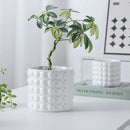 pots en céramique pour plantes succulentes style européen intérieur
