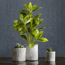 Realistic artificial ficus tree for indoor and outdoor decoration