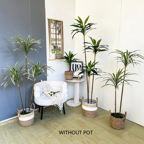 Set of 3 artificial dracaena plants for realistic decoration - vue 6 sur 20