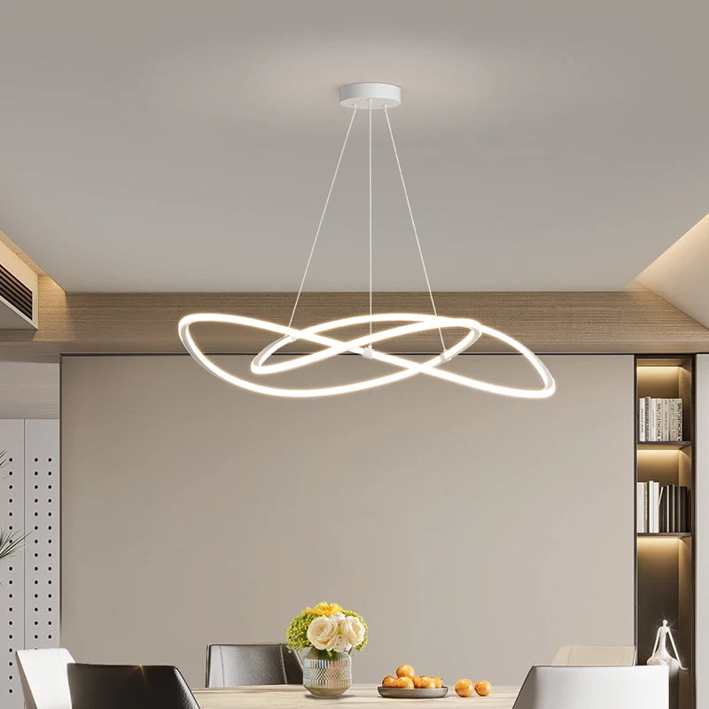 Black White Art Design Bedroom Pendant Lamps 60cm 80cm 100cm Minimalist Spiral Ring Hanging Light for Living Room Dining Room - vue 5 sur 11