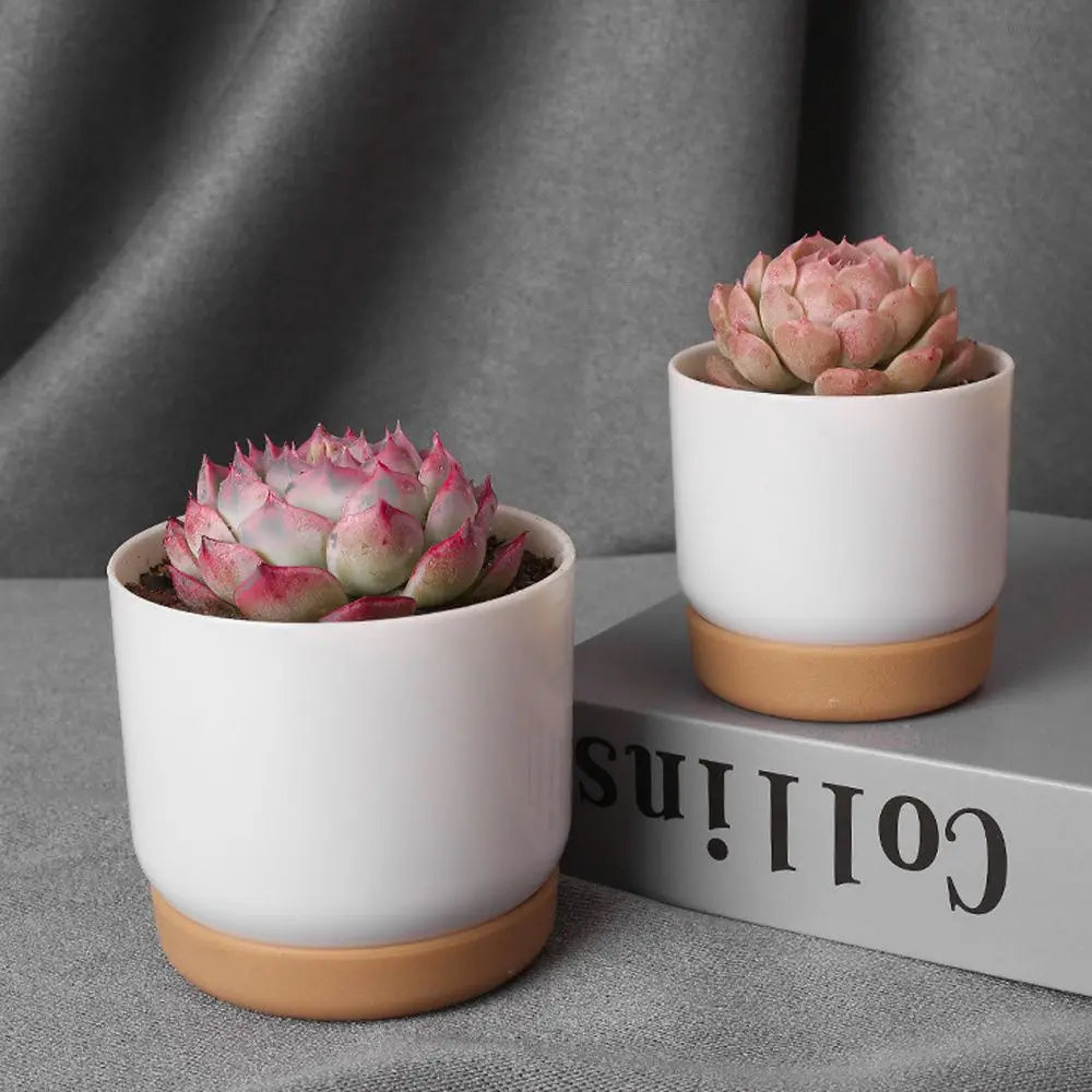 pot de fleurs automatique double couche pour plantes succulentes - vue 5 sur 8