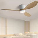 Ventilateur de plafond moderne avec moteur à courant continu