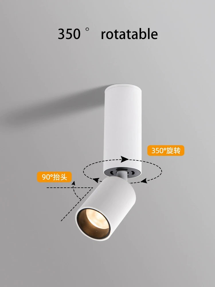 Adjustable angle LED spotlight for optimal ambient lighting - vue 3 sur 19