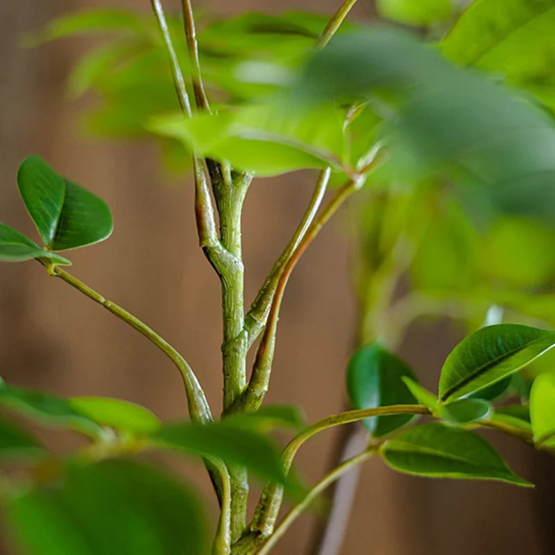 plantes artificielles grandes pour décoration intérieure et extérieure - vue 3 sur 6