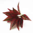 Artificial Grass Green Begonia Plants For Home Decoration,Plantas Artificiales Para Decoracion Fake Plastic Plants for Bonsai