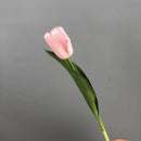 Set of 5 artificial tulips for realistic decoration
