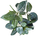 Artificial Grass Green Begonia Plants For Home Decoration,Plantas Artificiales Para Decoracion Fake Plastic Plants for Bonsai