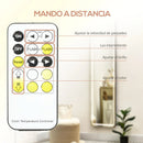 HOMCOM wall mirror full body standing mirror with LED lights 40x37x157.5 cm