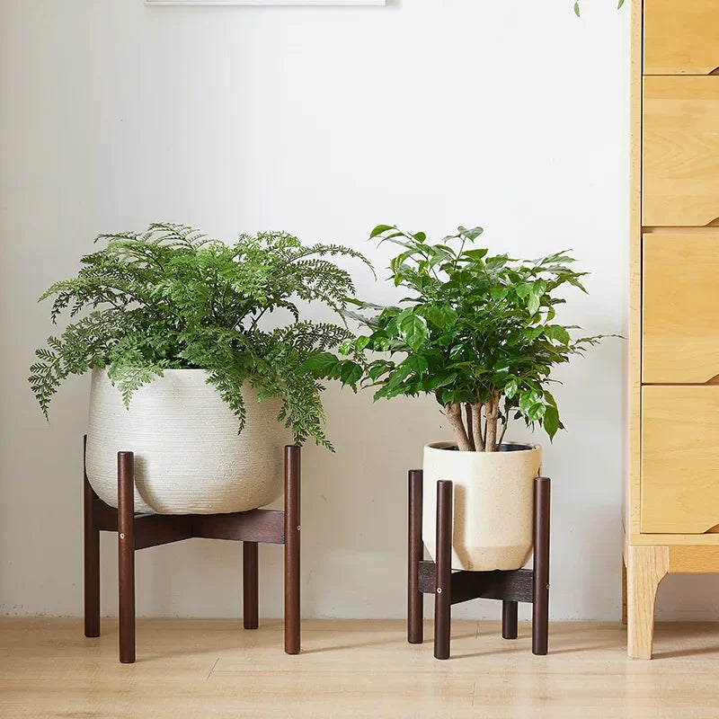 support en bois pour plantes et bonsaïs solide et durable