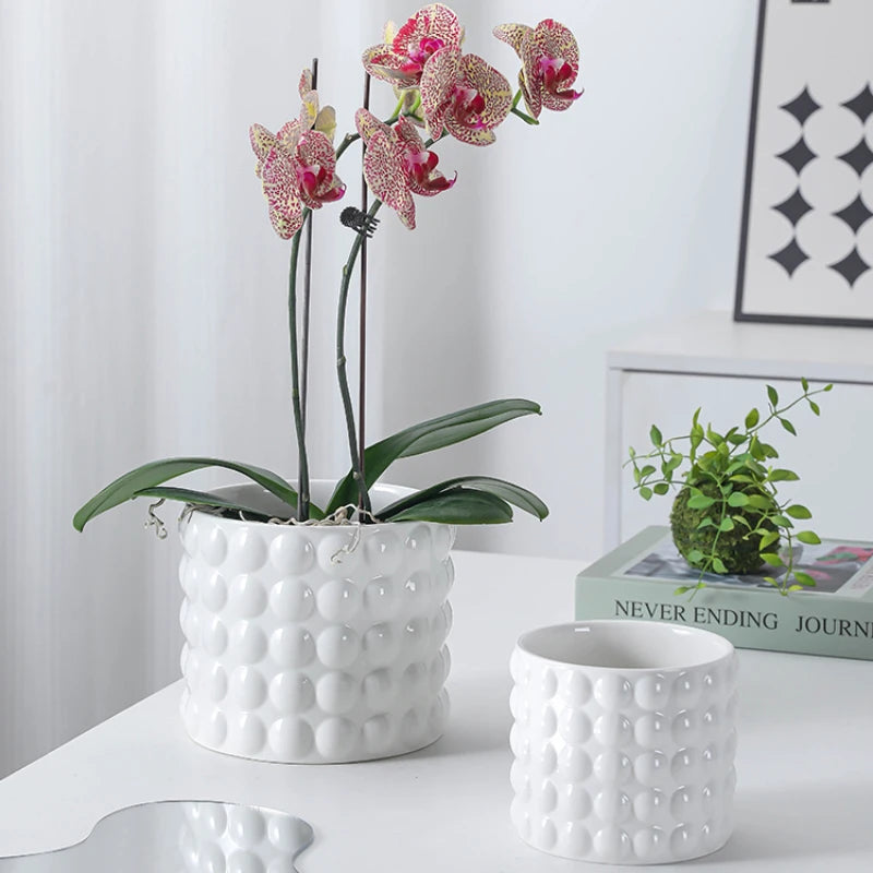 pots en céramique pour plantes succulentes style européen intérieur - vue 4 sur 7