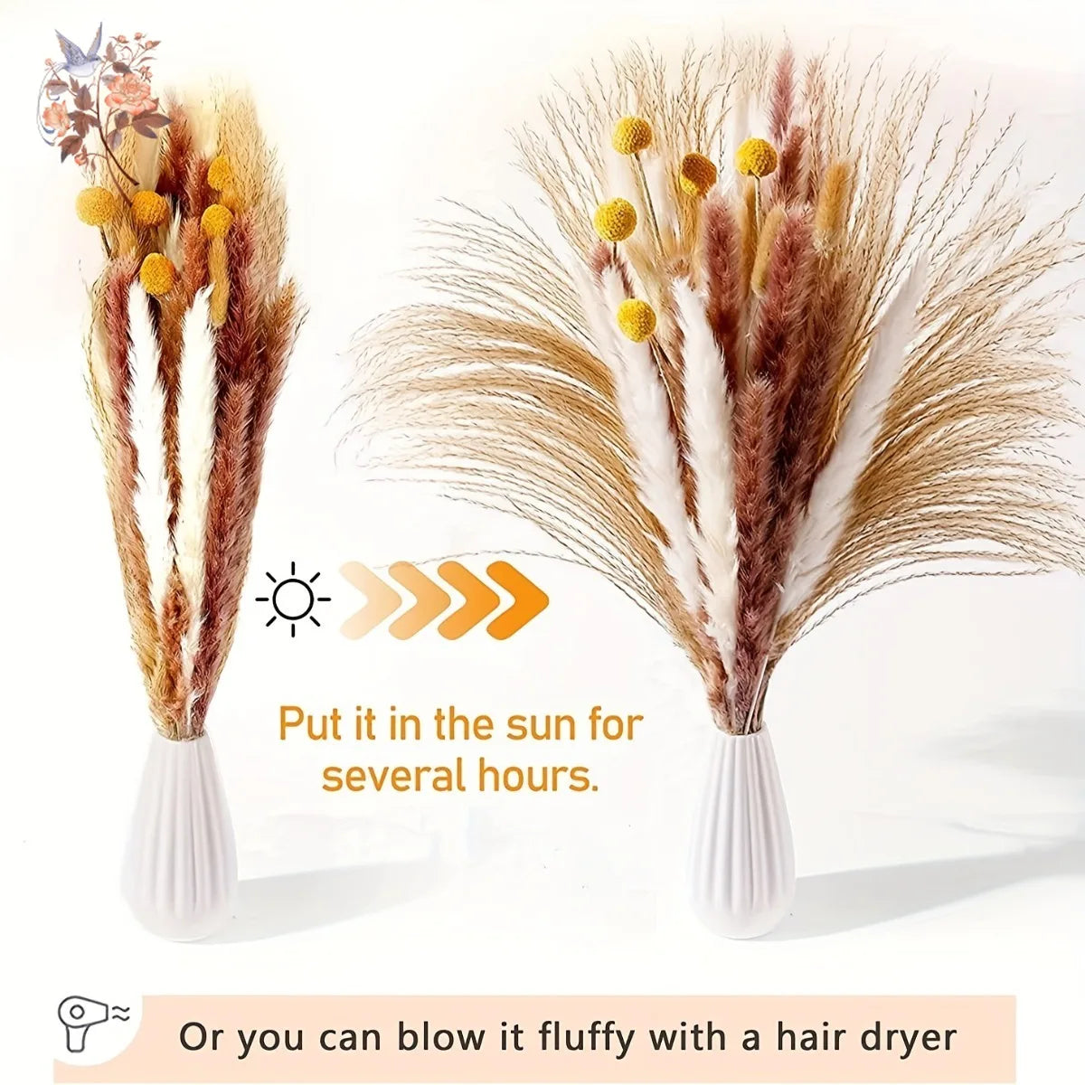 bouquet dherbe de pampa naturelle pour décoration et cadeaux - vue 6 sur 18
