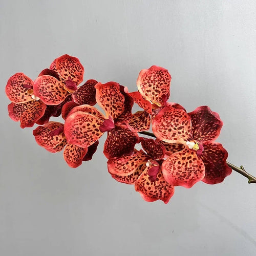 lot de 2 orchidées artificielles vanda pour décoration intérieure - vue 10 sur 12