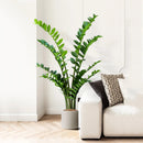 Artificial tropical money tree realistic decorative plastic plant