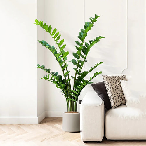 Artificial tropical money tree realistic decorative plastic plant - vue 4 sur 13