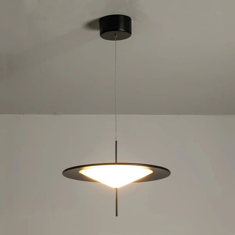 suspension artistique en acrylique pour divers espaces avec fil réglable - vue 6 sur 8