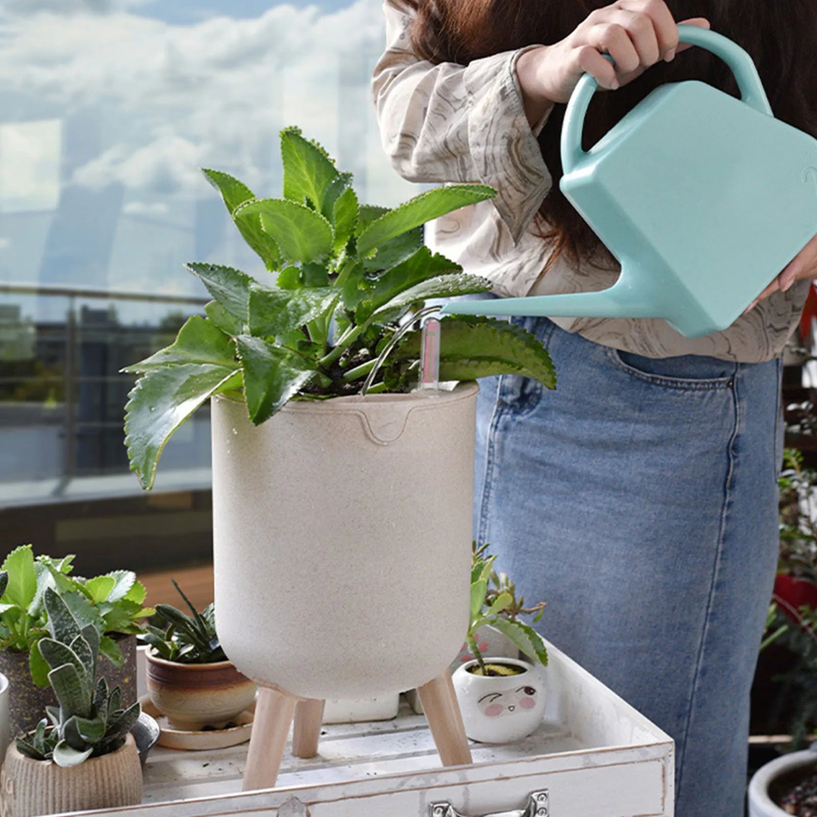 pot de fleurs automatique avec indicateur de niveau d'eau et rangement - vue 8 sur 7